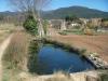 La bassa del tram superior del Regadiu de les Roques_ al costat discorre l'antic camí de la Garriga a l'Ametlla